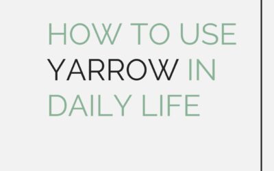 How to use Yarrow in daily life