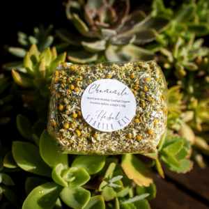chamomile-packet-amongst-succulents