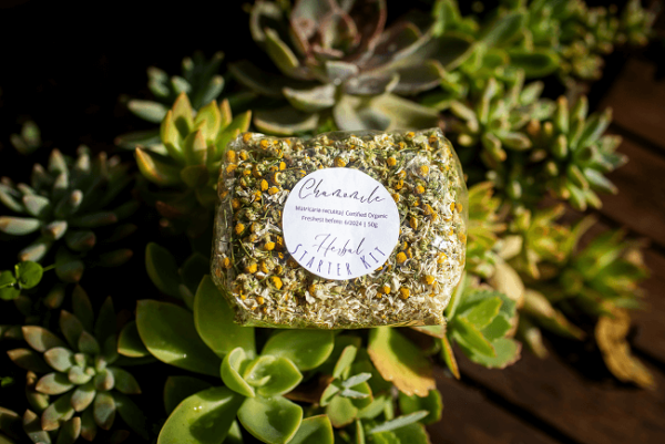 chamomile-packet-amongst-succulents