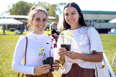 HerbFest attendees-seedlings