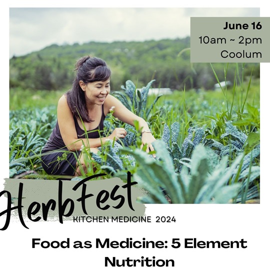 Kimberly Ashton - Herbest speaker 2024, herbal medicine event on the Sunshine Coast. Image of Kimberly Asthon in a field of kale, bending low to harvest kale.