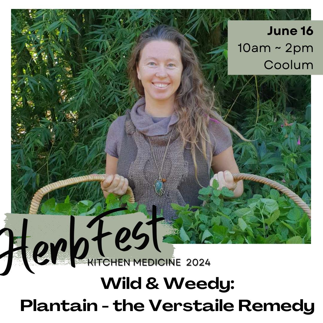 Speaker at HerbFest on the Sunshine Coast, a herbal medicine event. Image of Tatiana Lustre Dawn smiling holding two baskets of harvesting medicinal plants.