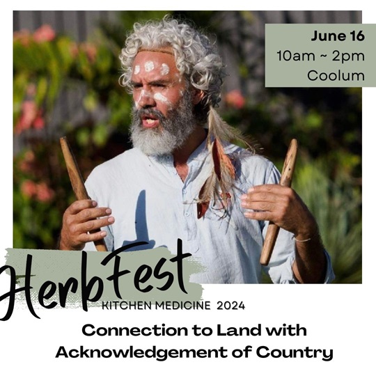 Image of Jandamarra Cadd holding clapping sticks. Speaker at HerbFest, community herbal medicine event on the Sunshine Coast