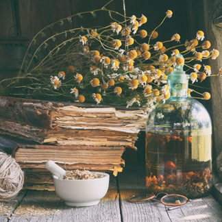 Image of pile of old books with chamomile on top. For an article about how to organise your herbal info for monographs and materia medica.