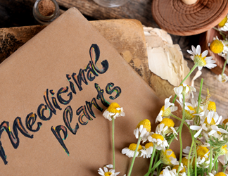 How to organise your herbal info