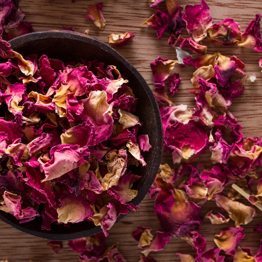 Dried Roses. Rosa sp. Rose medicine for the heart