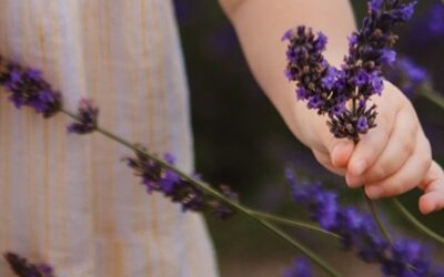 Back-to-school herbal toolkit