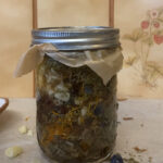 herbal fire cider. medicine-making workshop. Image of jar with herbal fire cider macerating with lid on.