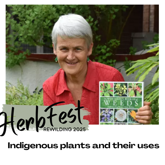 Image of Pat Collins smiling holding her book about medicinal weeds and the words are her HerbFest talk title: Indigenous Plants and their uses