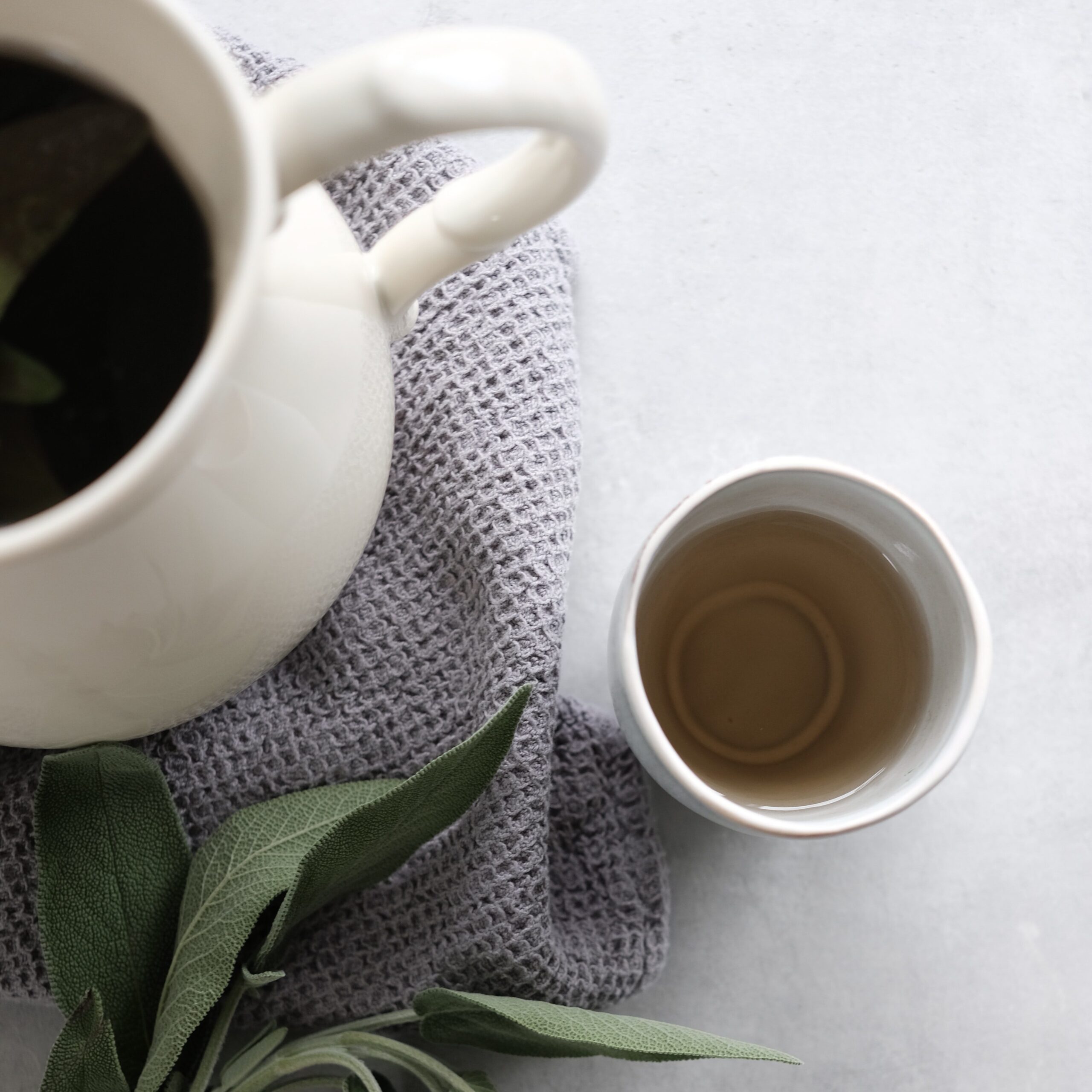 Sage leaves and white teapot and mug. How to sooth a sore throat - you can use sage tea. Recipe from the Make Your Own Immunity Herbal Remedy Kit | Everyday Empowered