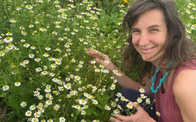 What Is Herbal Medicine? A Beginner’s Guide
